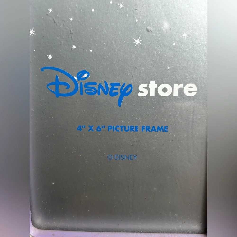 Vintage Tinkerbell Disney Store Picture Frame For 4x6 Fairy Acrylic Wood Easel